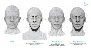 R3dS Wrap Topology Transfer Software