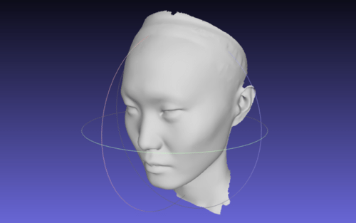 3D Face Scanning projection mapping